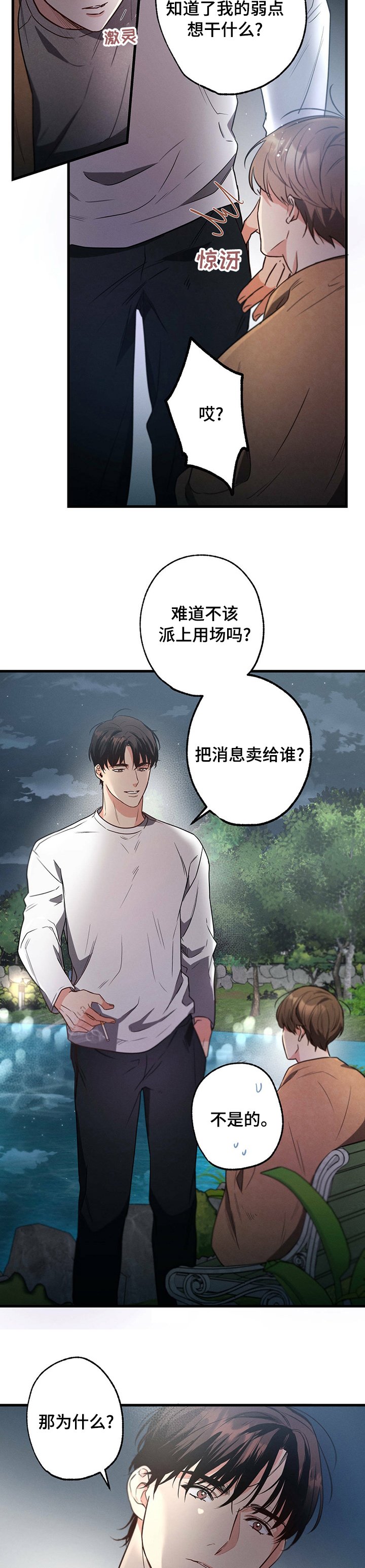 第40章：弱点