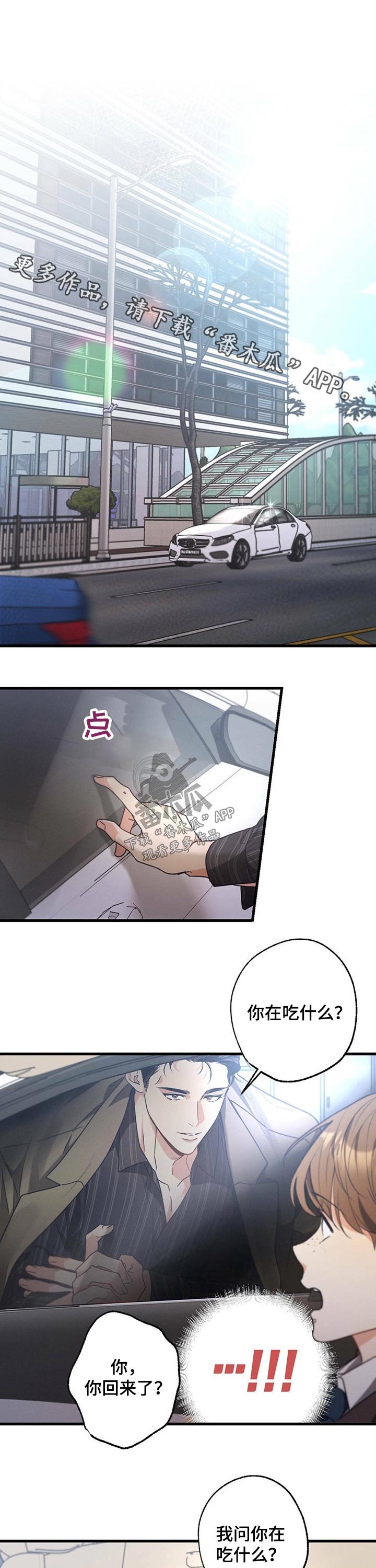 第53章：补品