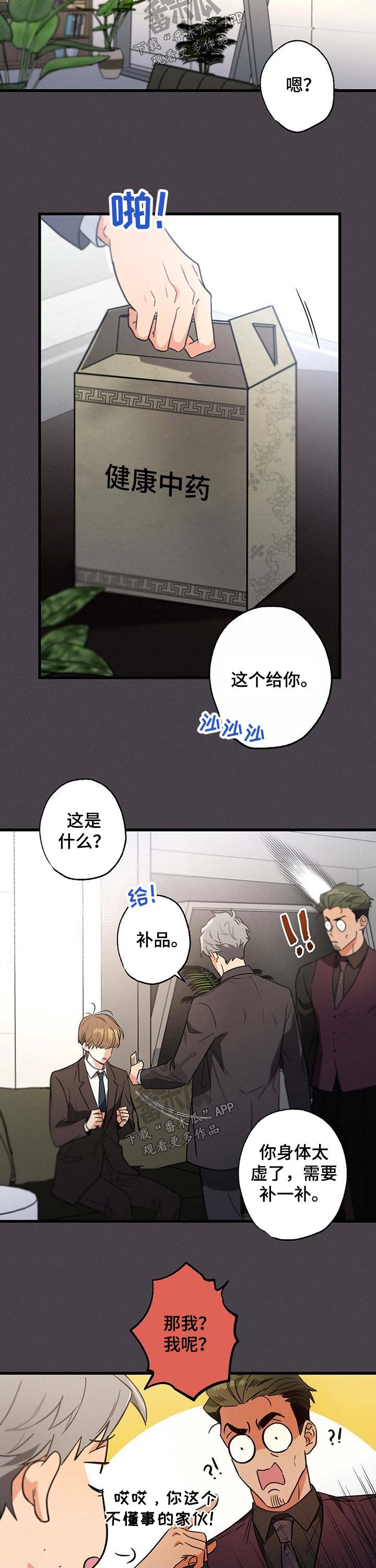 第53章：补品