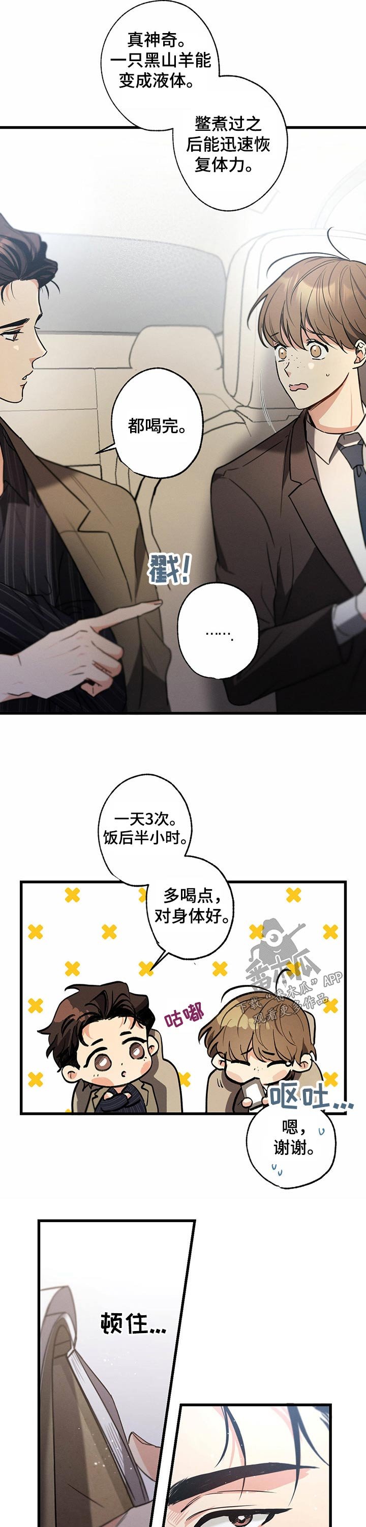 第53章：补品