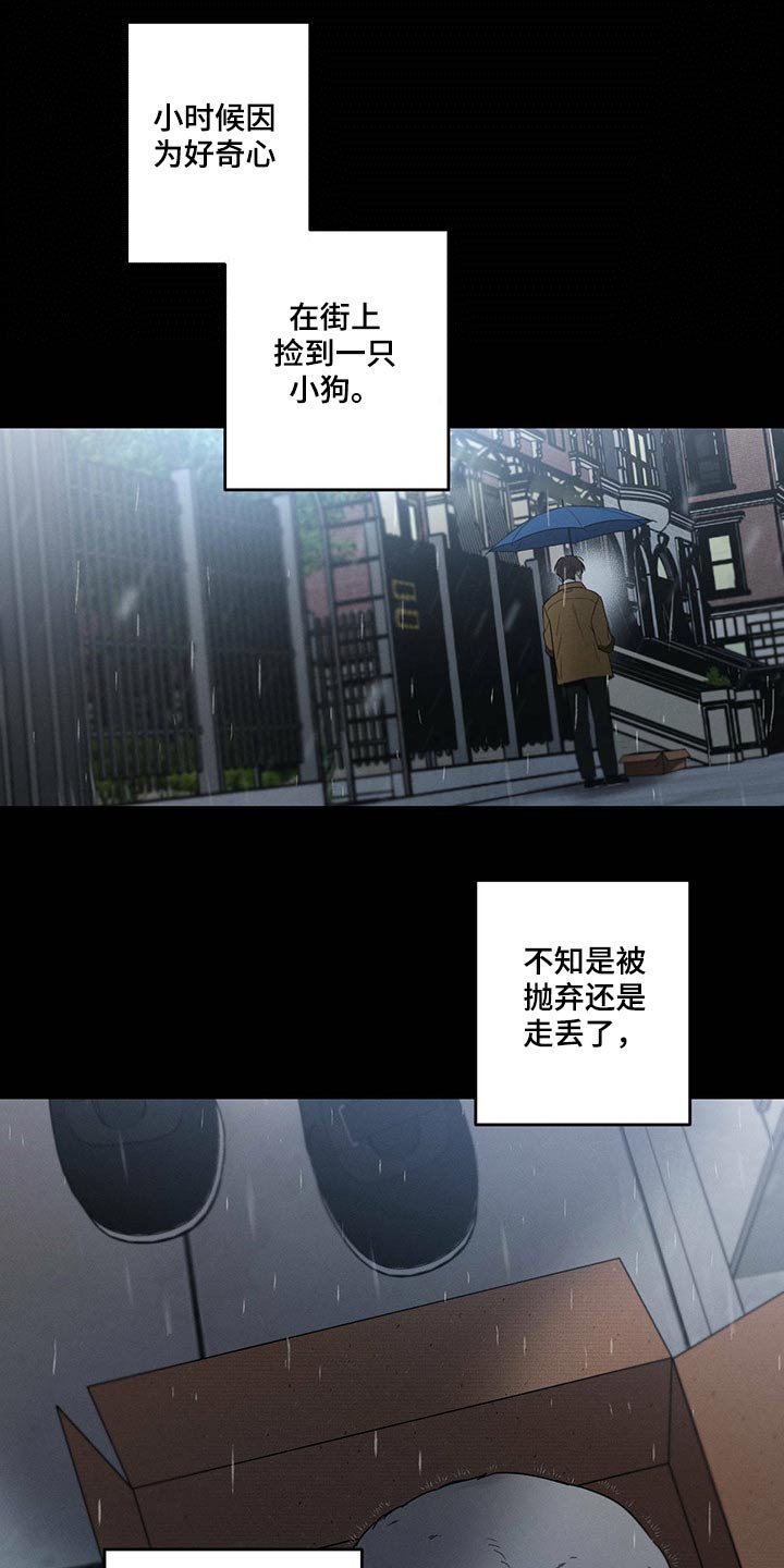 第77章：责任