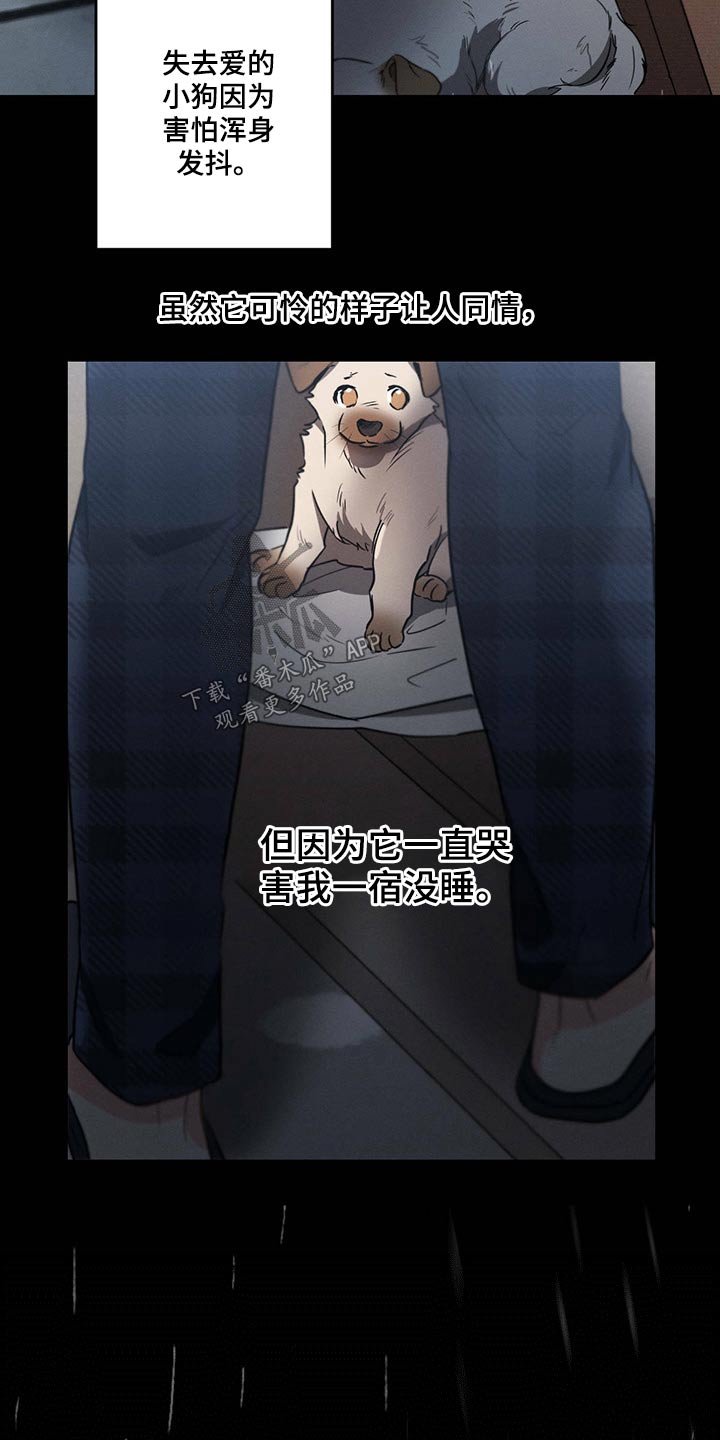 第77章：责任