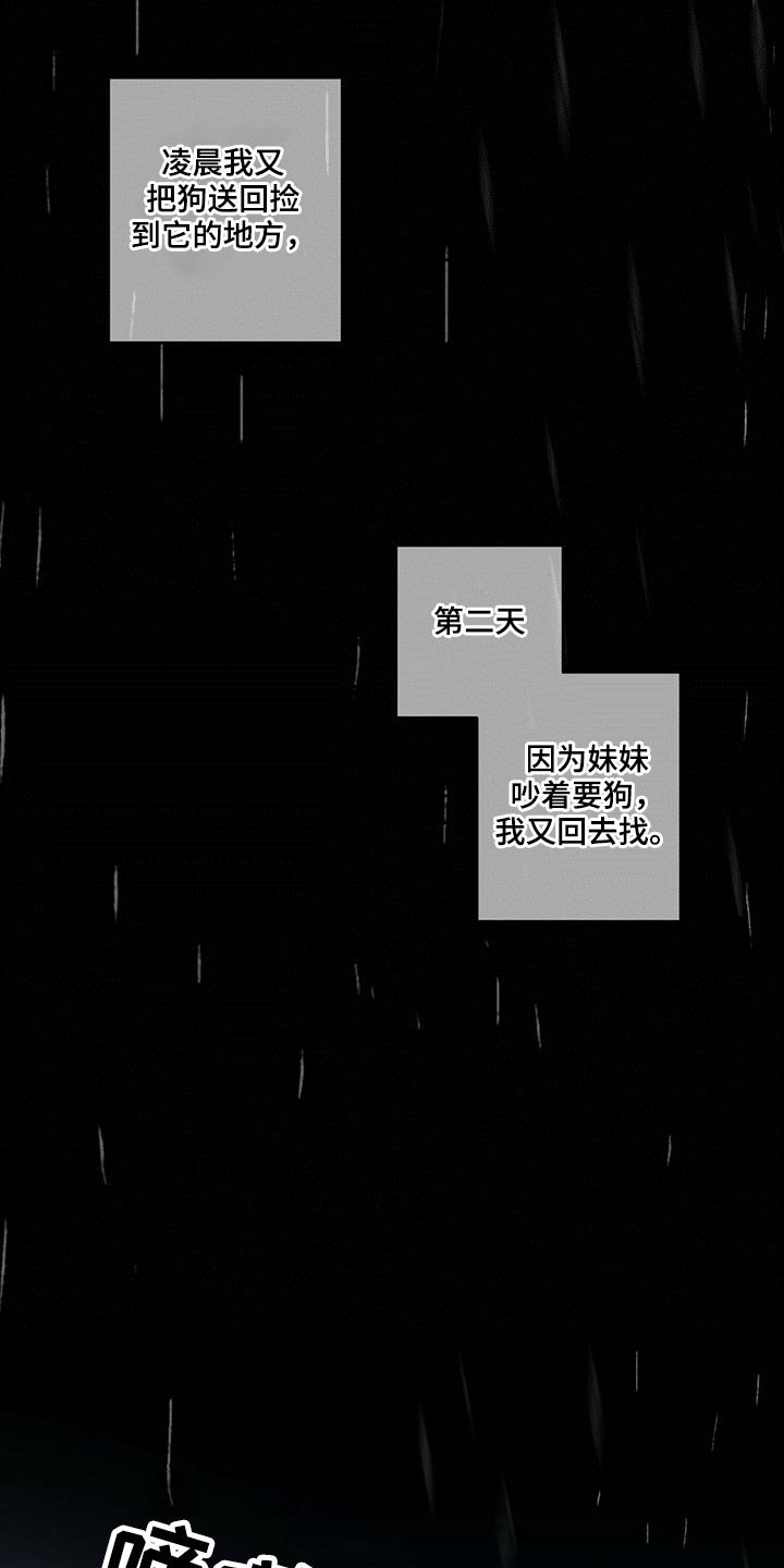 第77章：责任