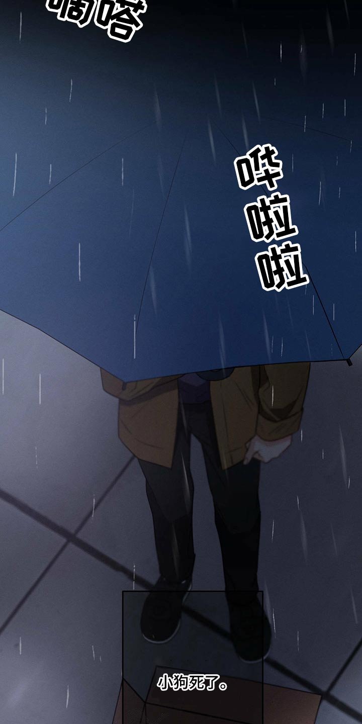 第77章：责任