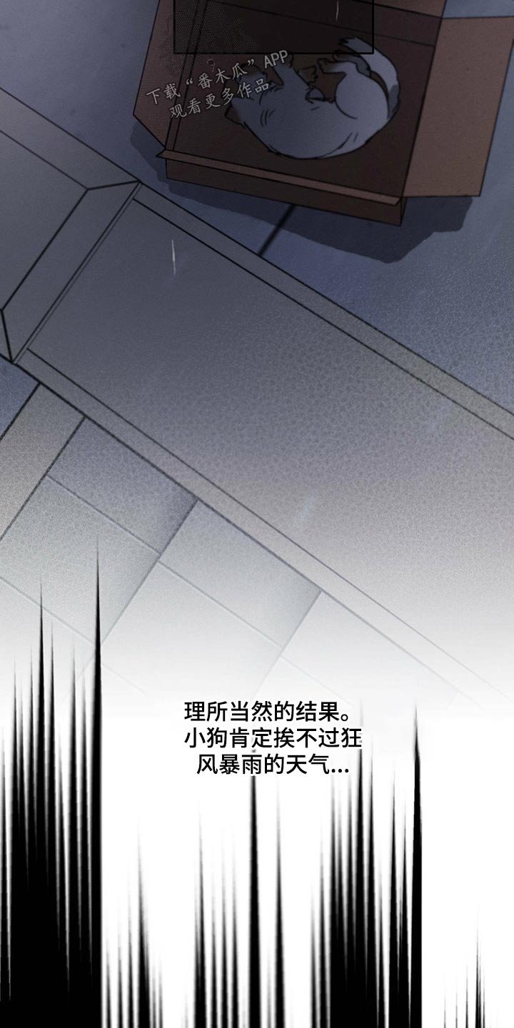 第77章：责任