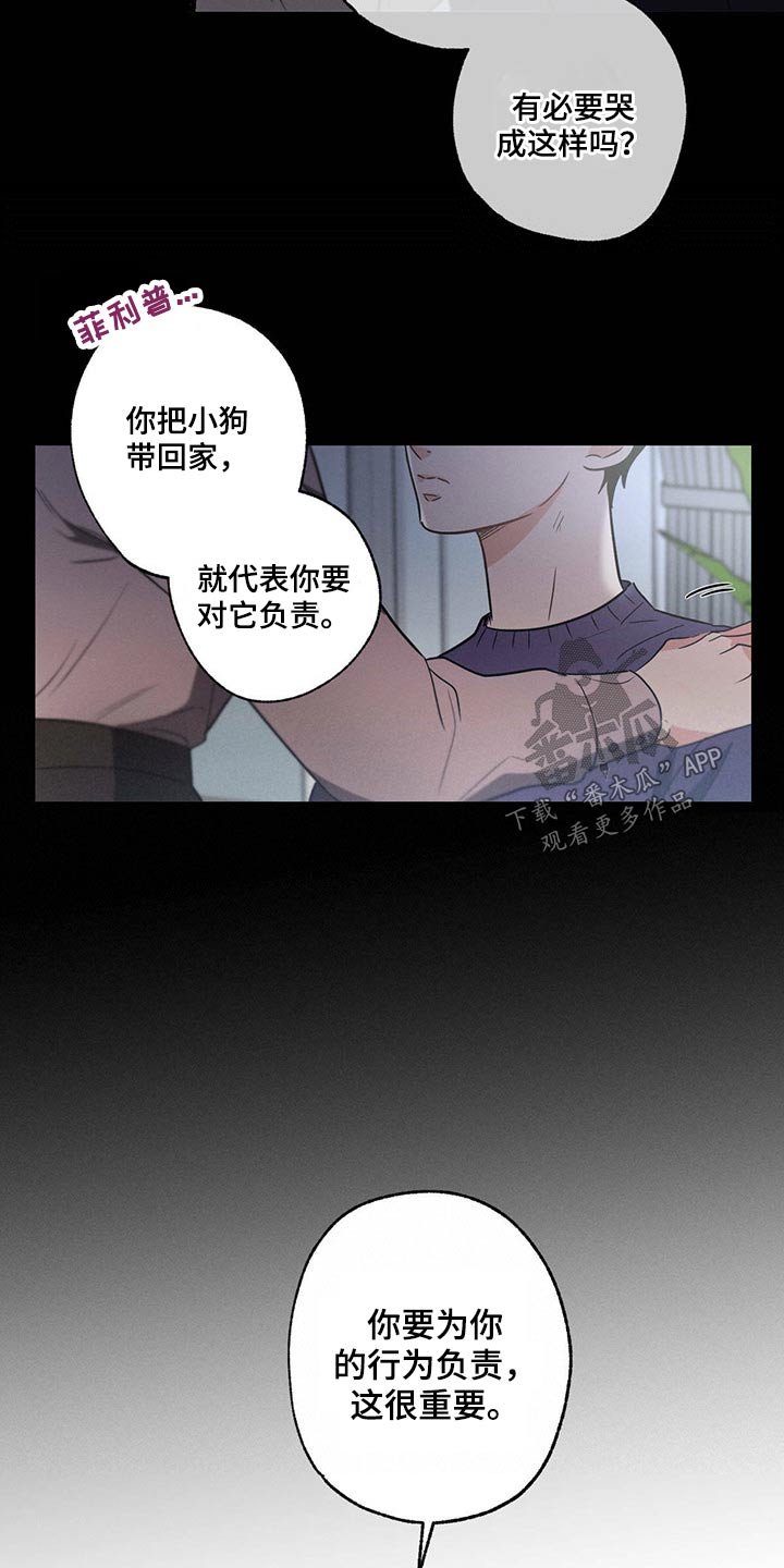 第77章：责任