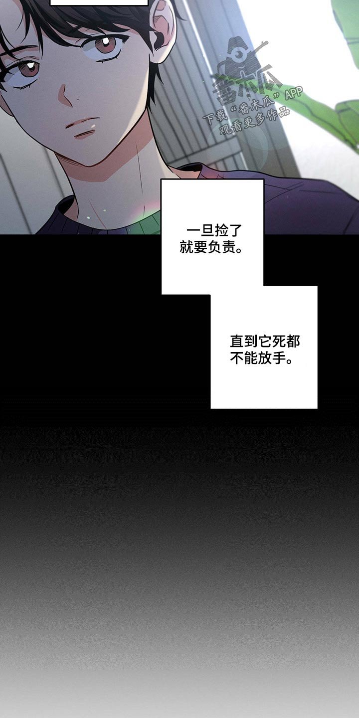 第77章：责任