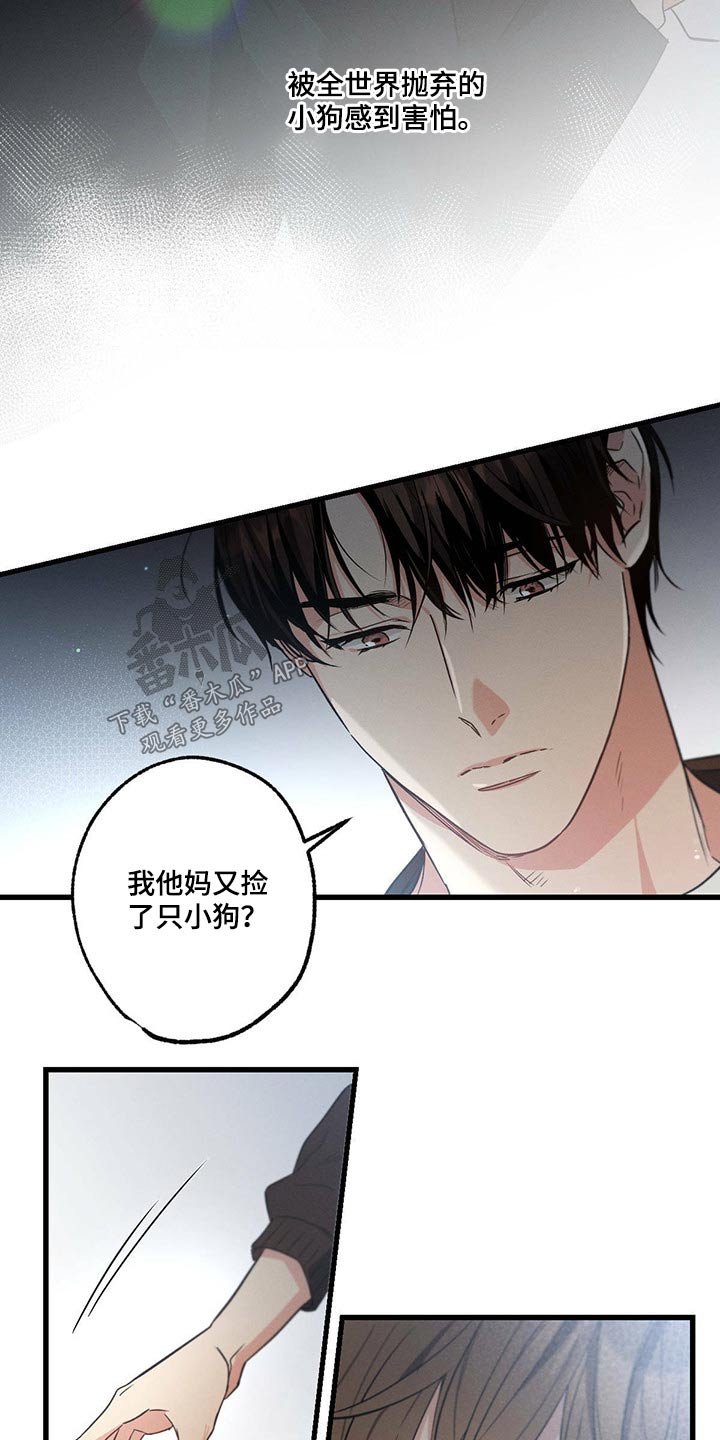 第77章：责任
