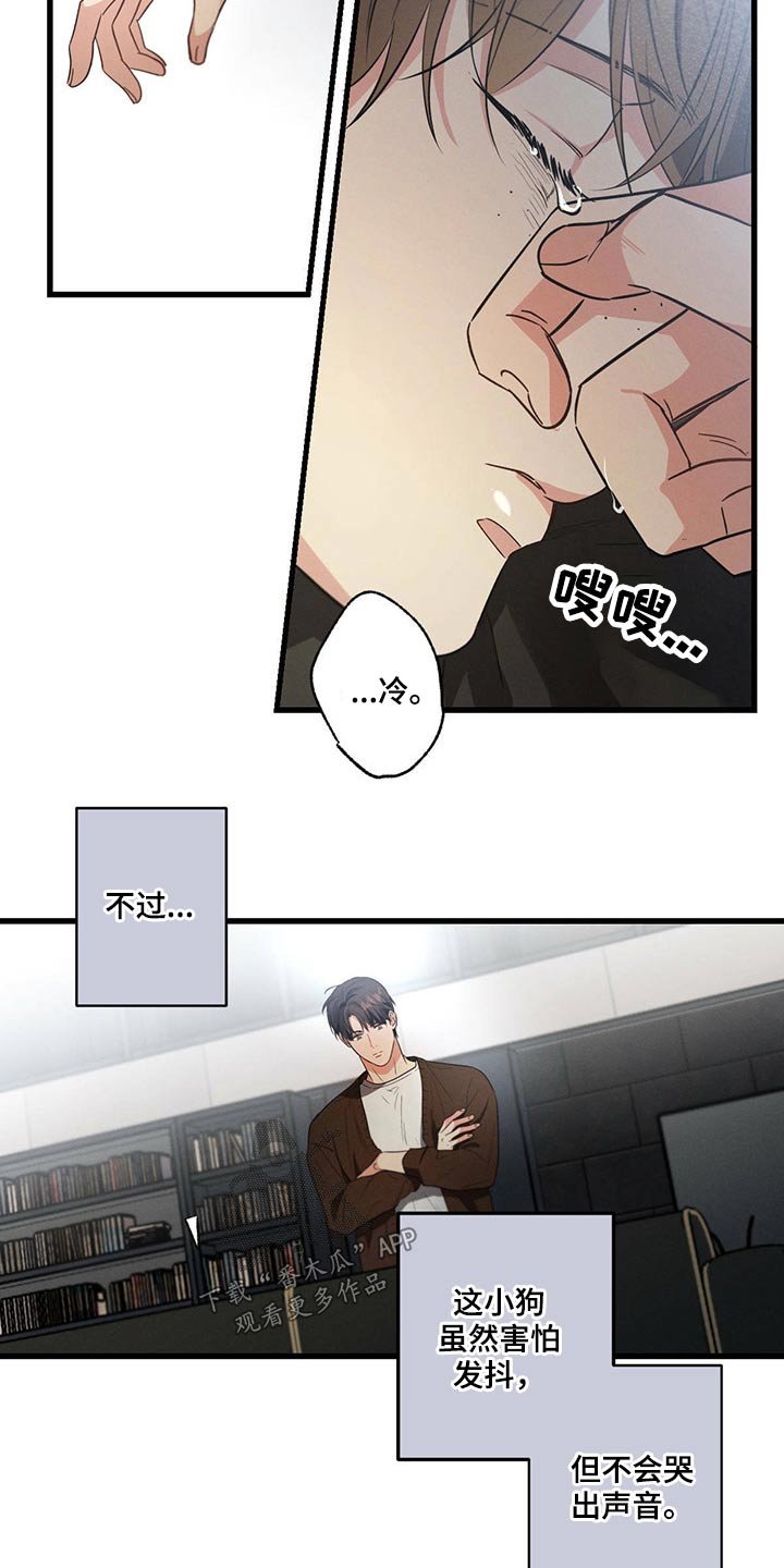 第77章：责任