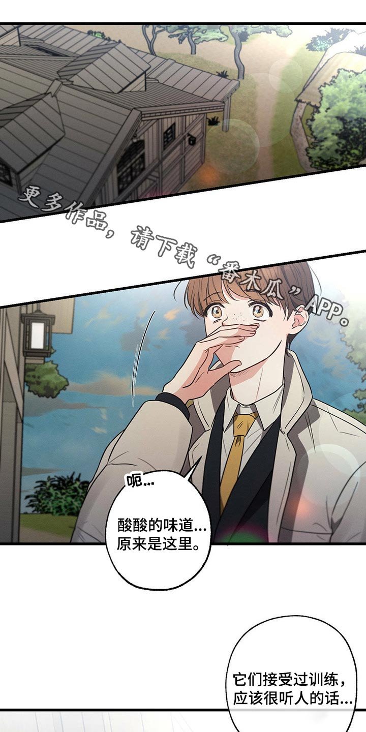 第83章：悲伤