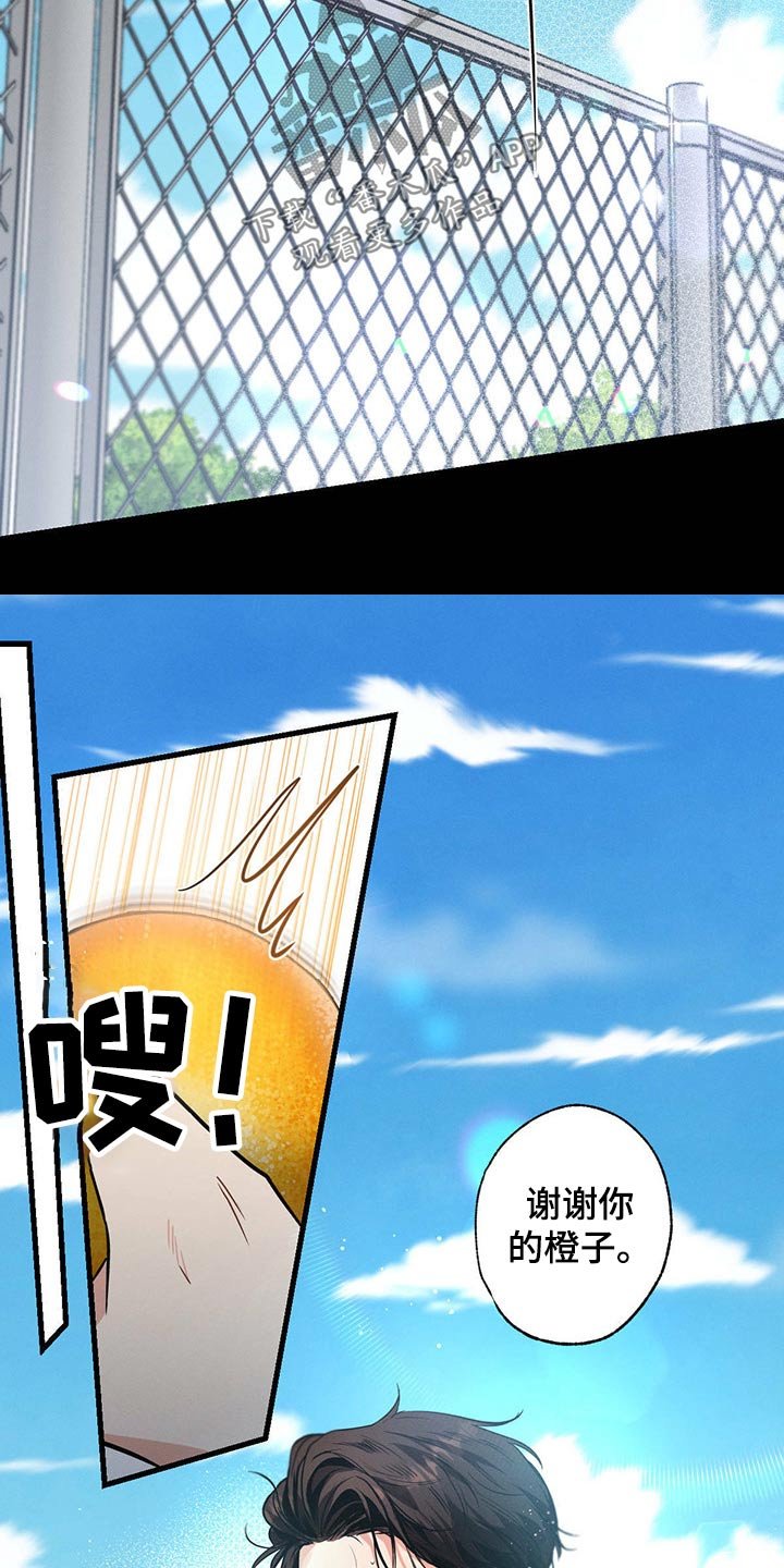 第85章：感谢