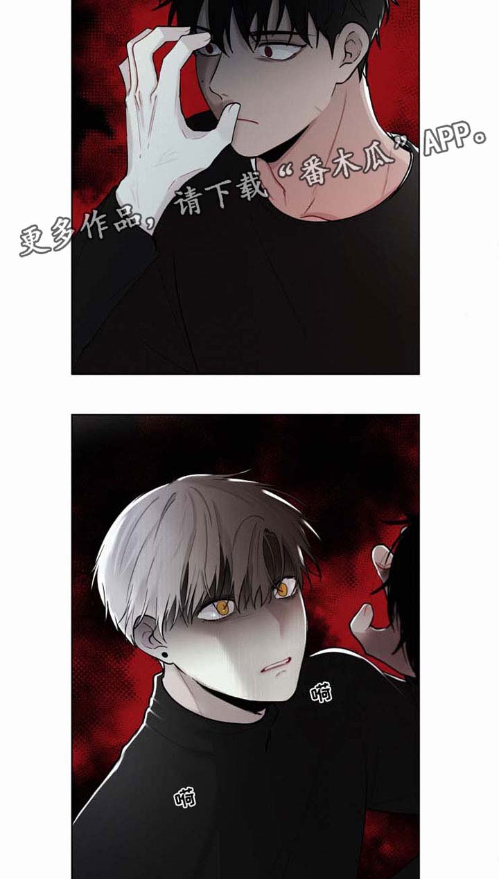 第34章：不会依靠任何人