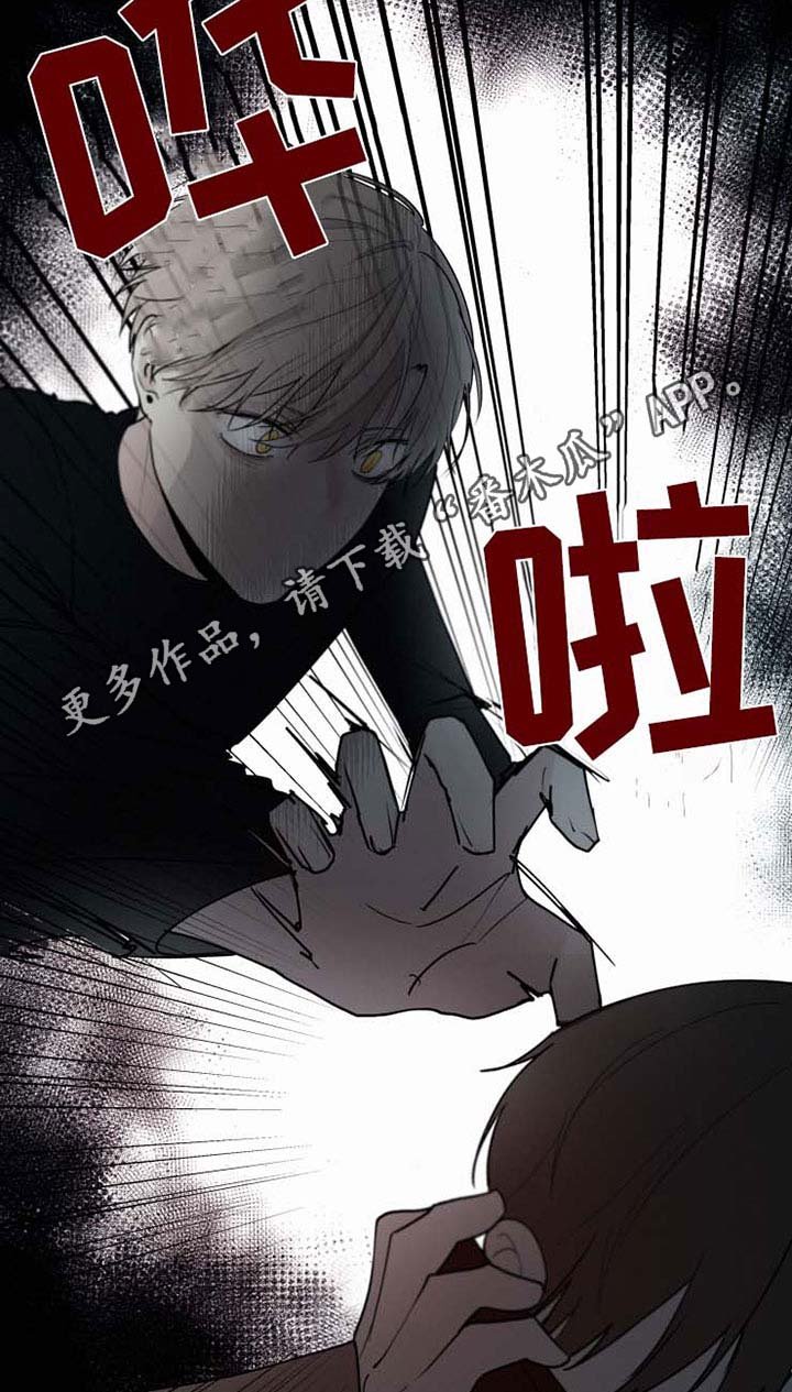 第35章：袭击