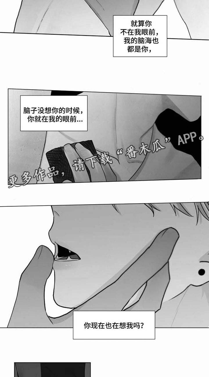 第36章： 你快回来吧