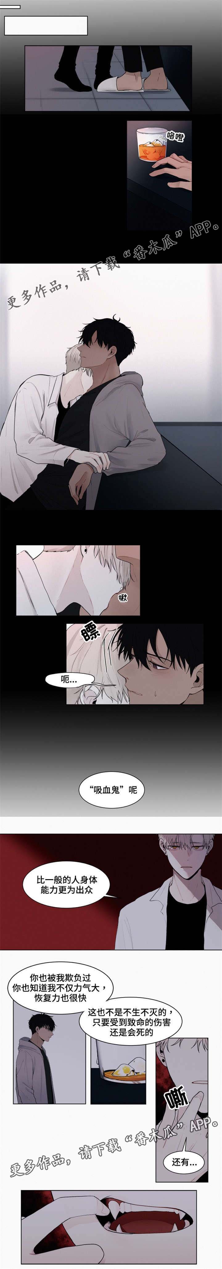 第4章：虚构