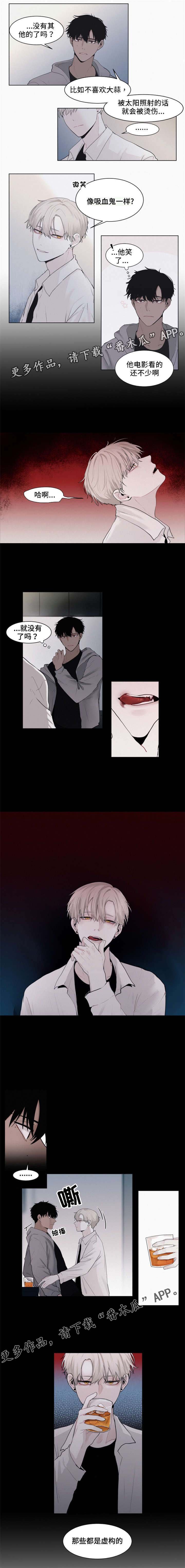 第4章：虚构