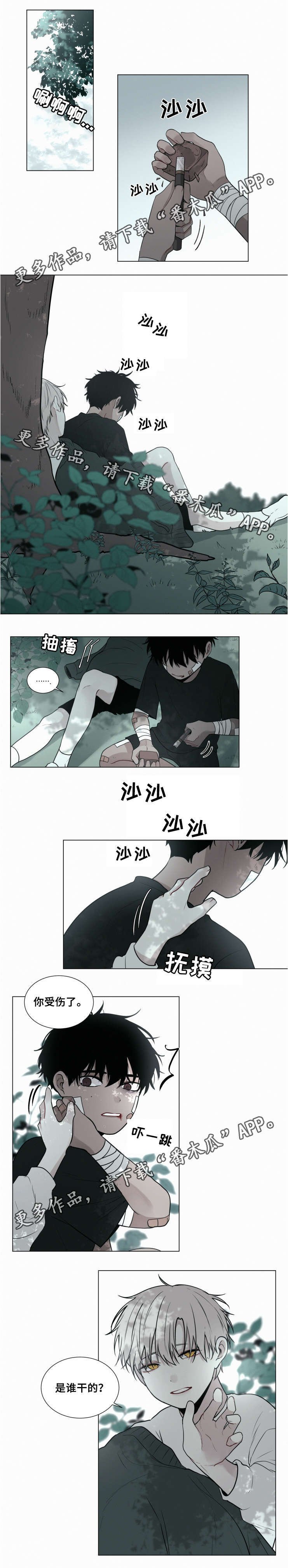 第44章：走着瞧