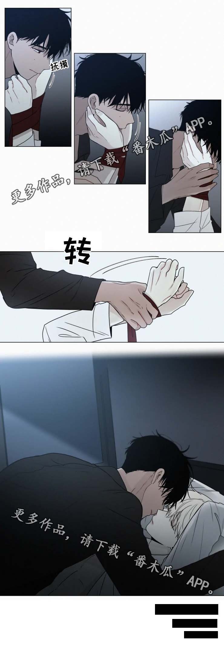 第55章：成年人