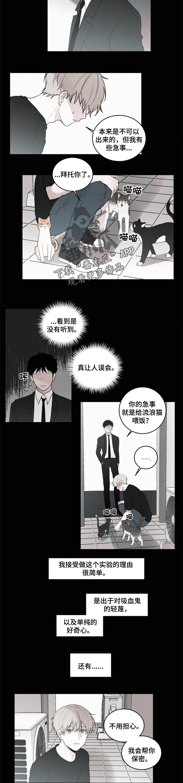 第95章：通话内容