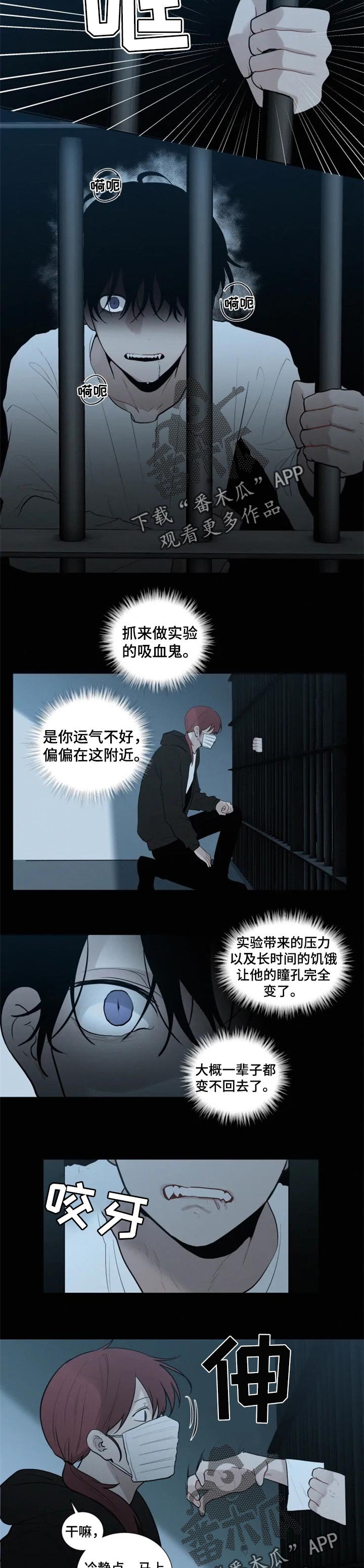 第98章：试验