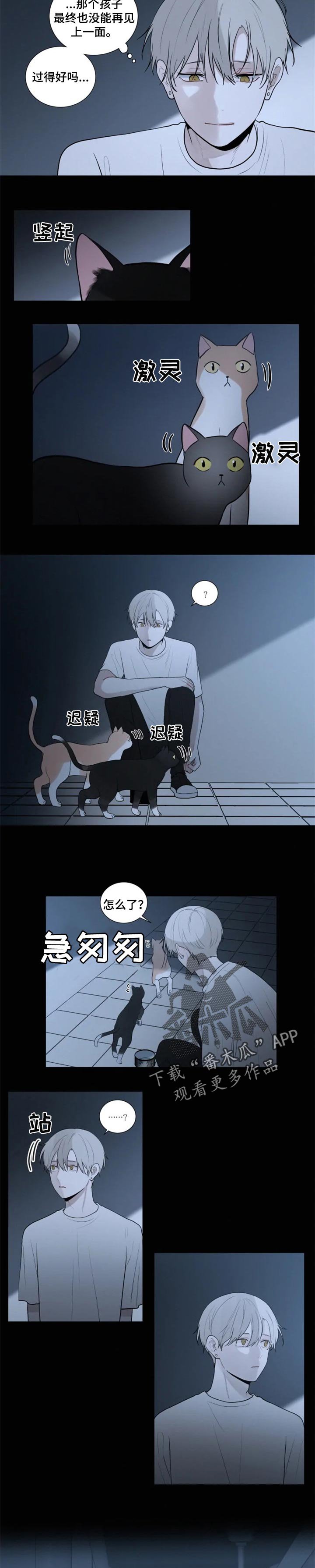 第99章：逃跑