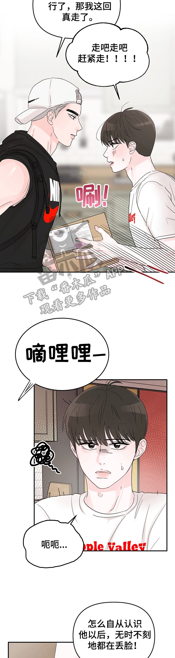 第12章：实施