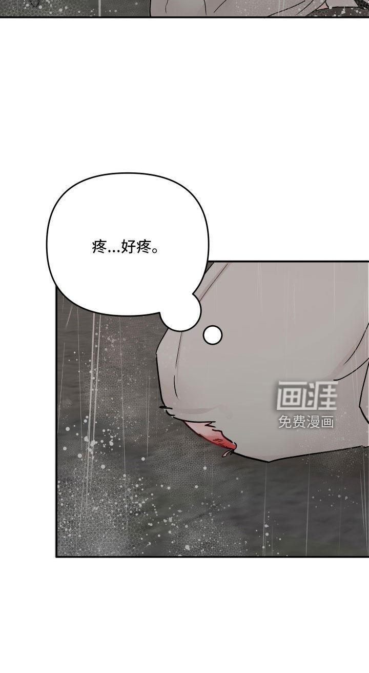 第78章： 【第二季】不回去