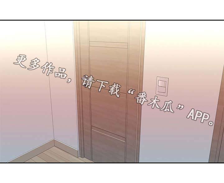 第4章：伪装