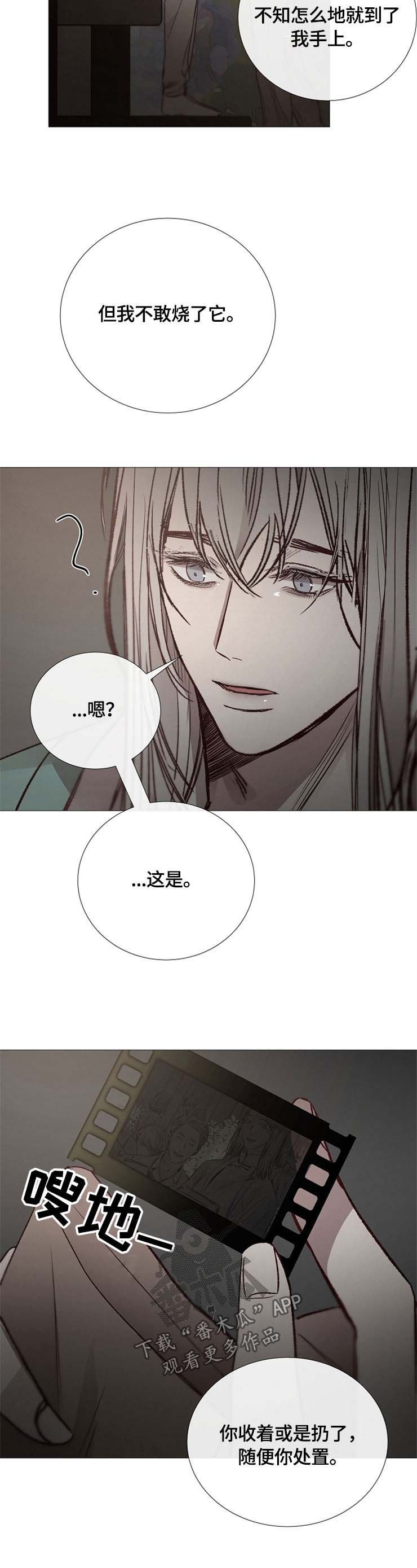 第115章：目的