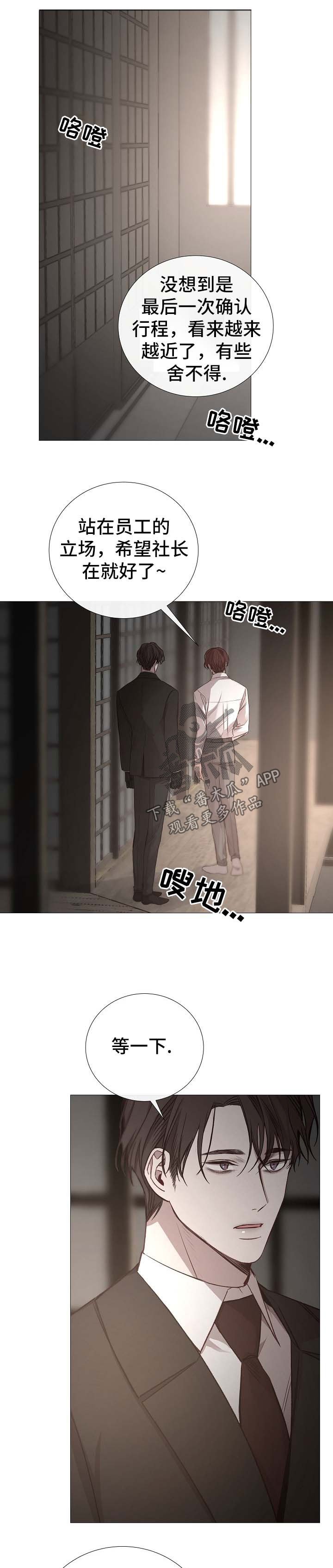 第118章：期待