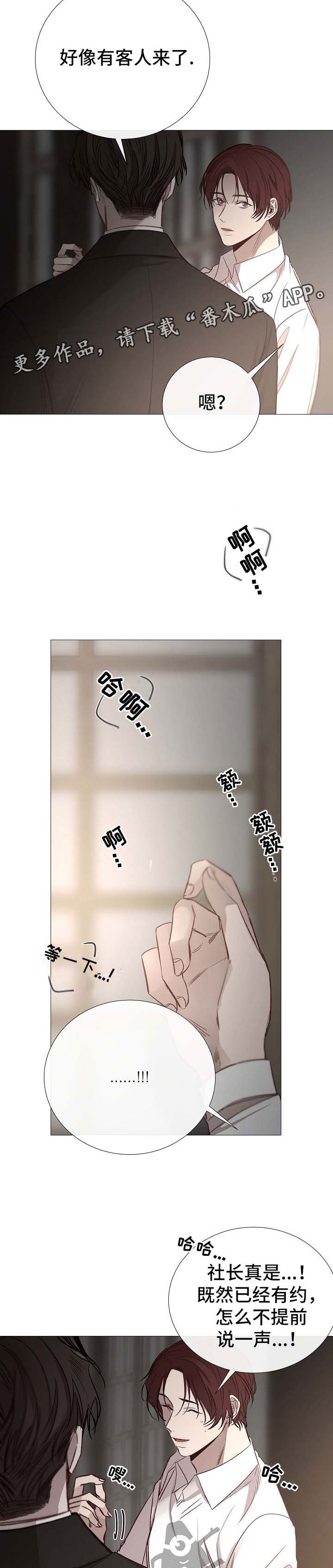 第118章：期待