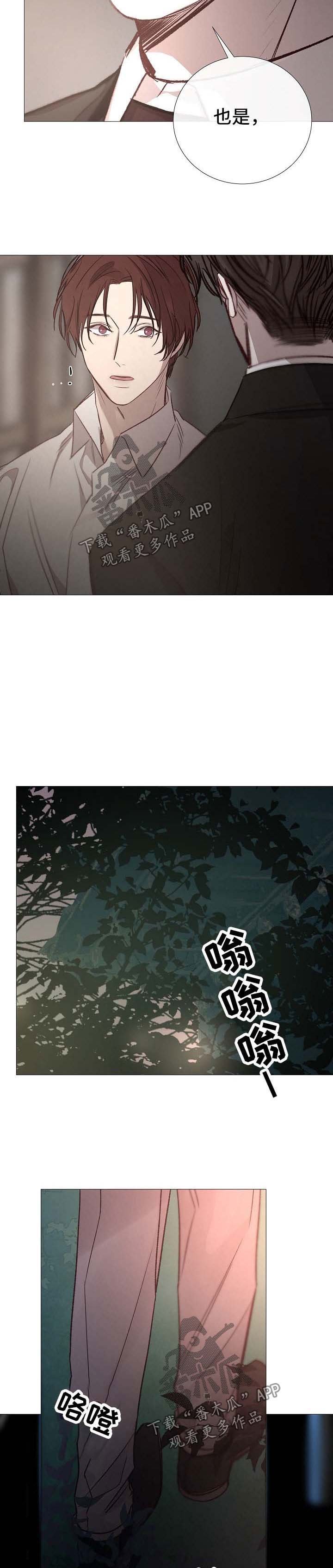 第118章：期待