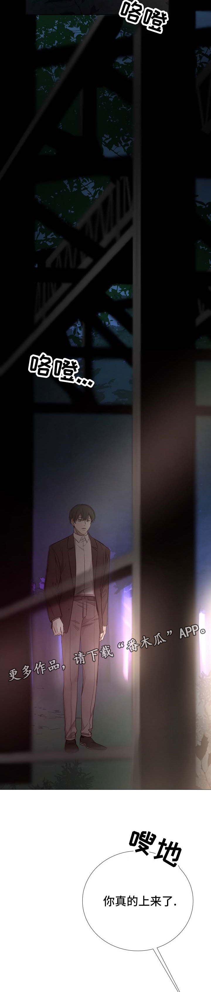 第118章：期待