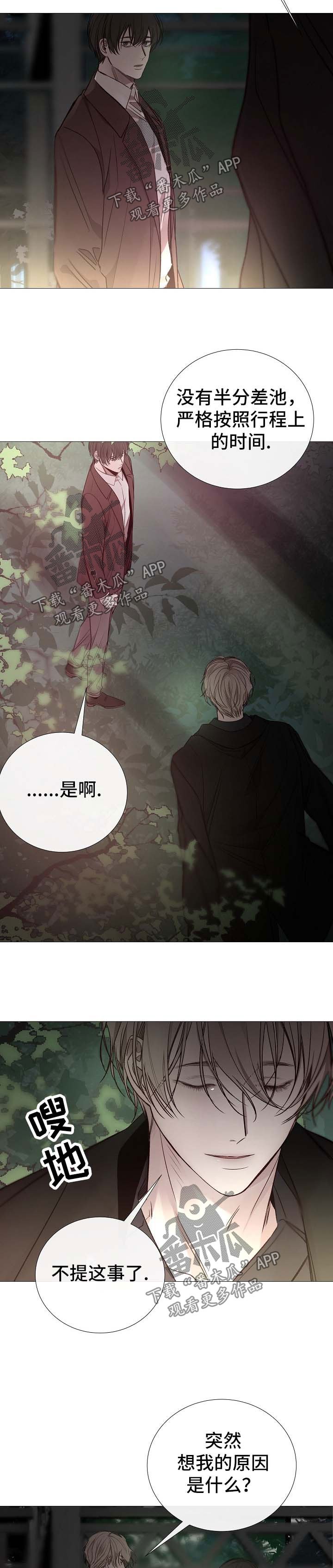 第118章：期待