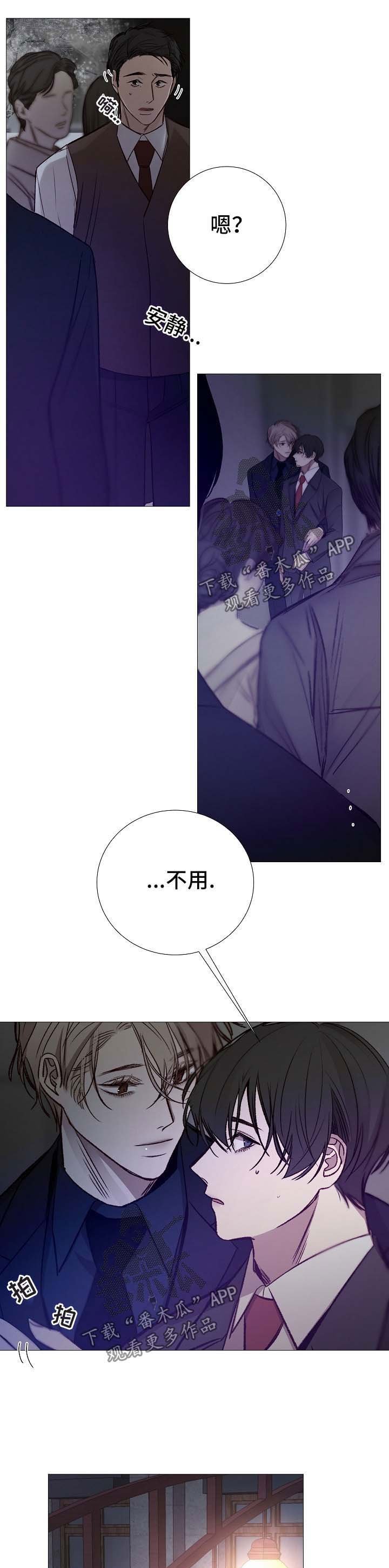 第121章：期待