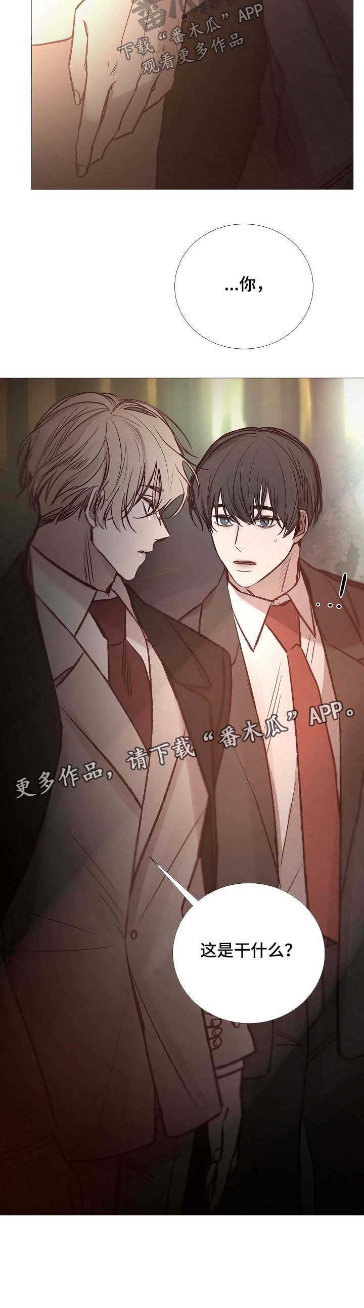 第134章：别投入太多感情