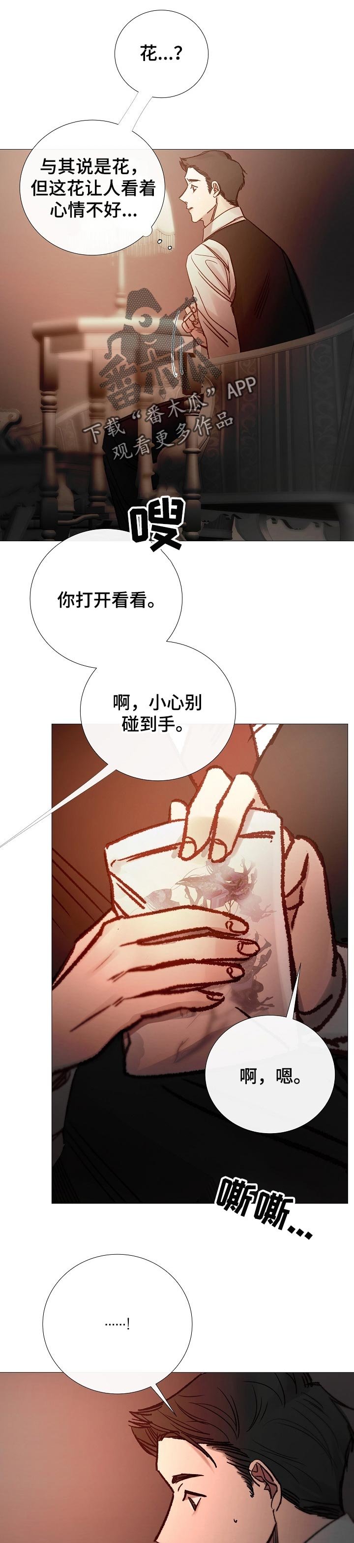 第148章：确定关系