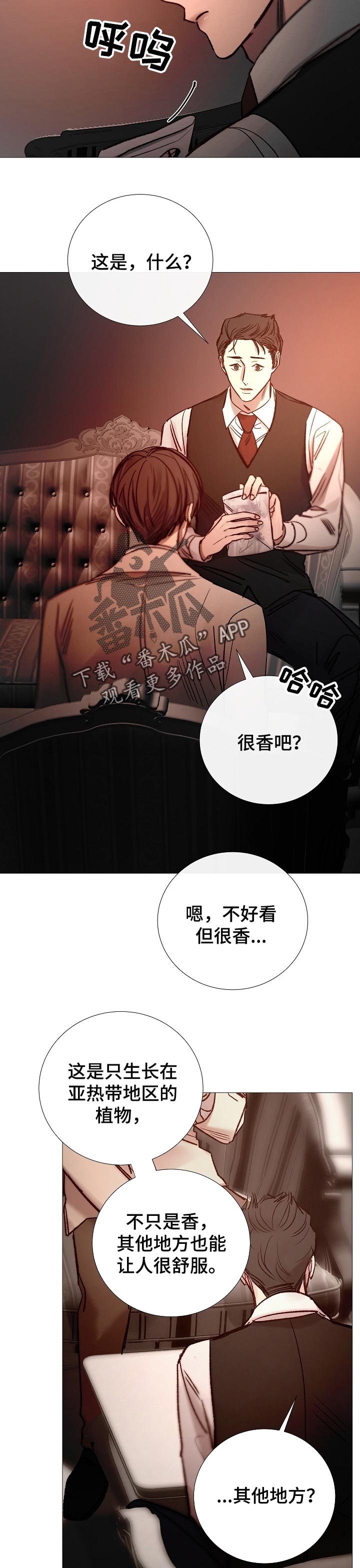 第148章：确定关系