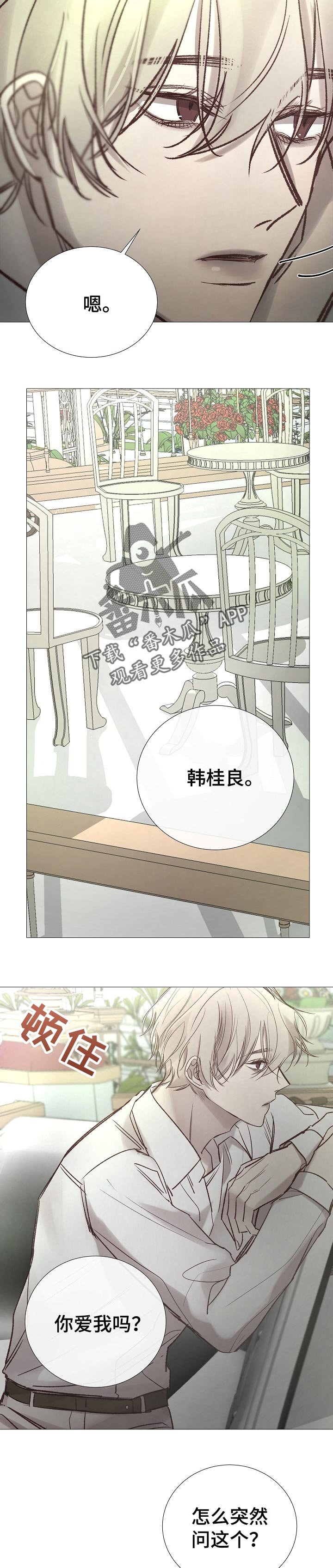 第155章：好像喜欢你