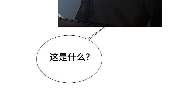 第20章：坦诚