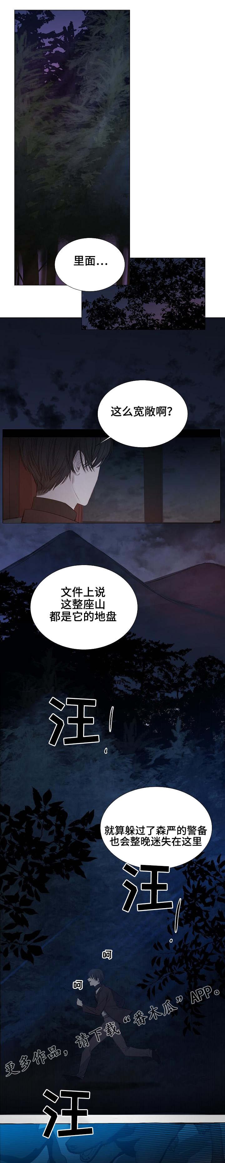 第28章：山里