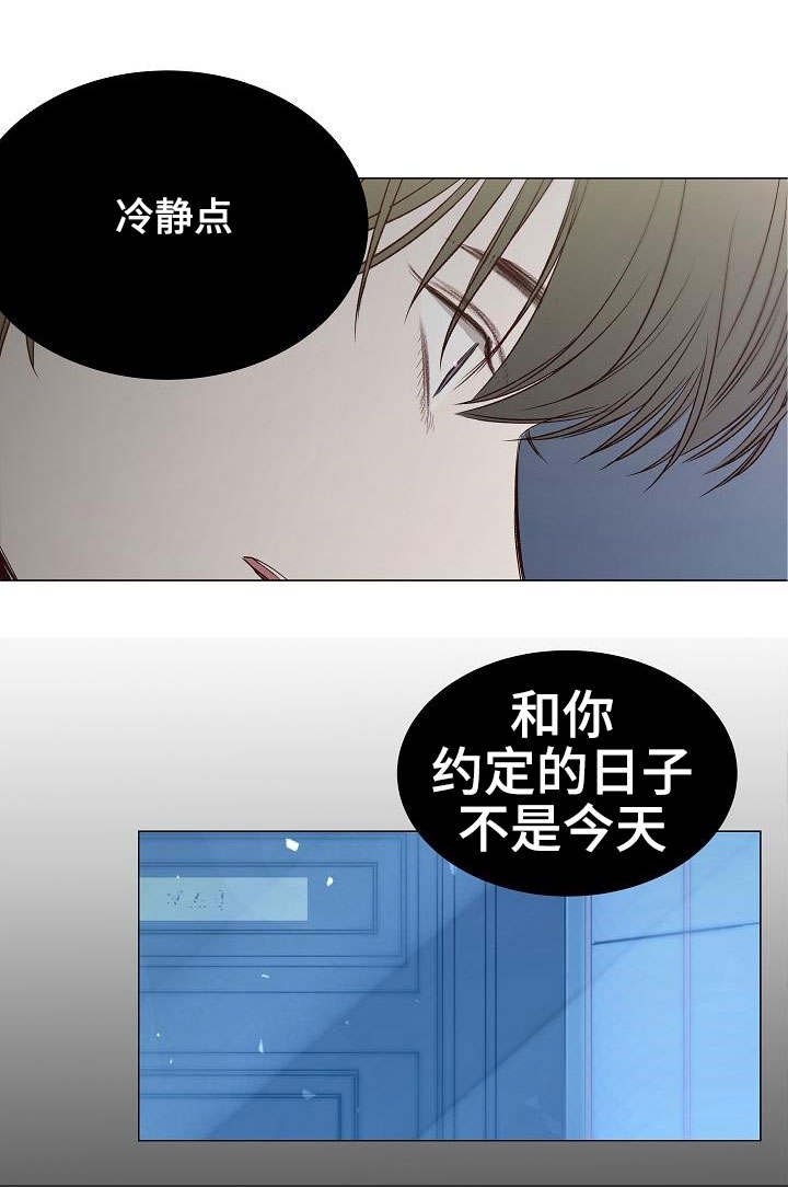 第31章：期待