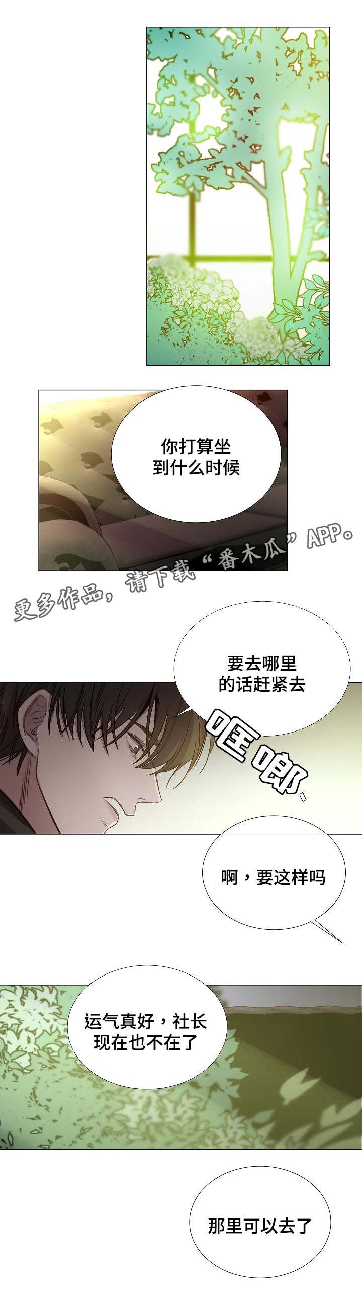 第46章：可以去了