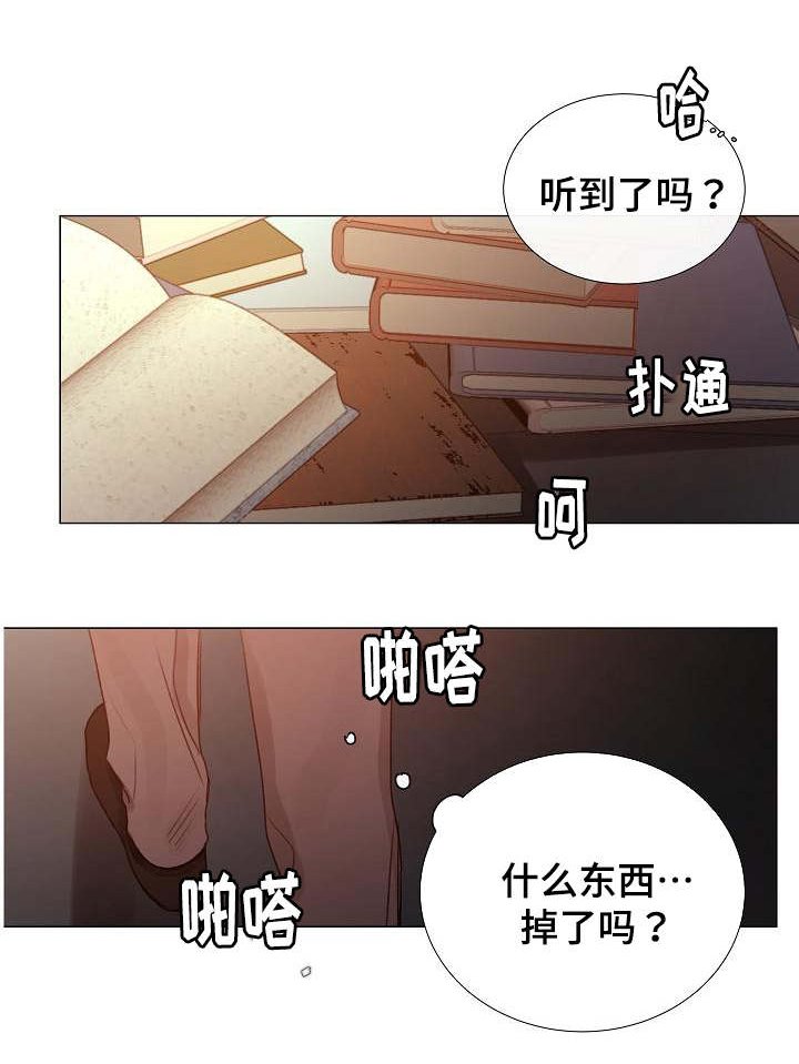 第49章：同等关系