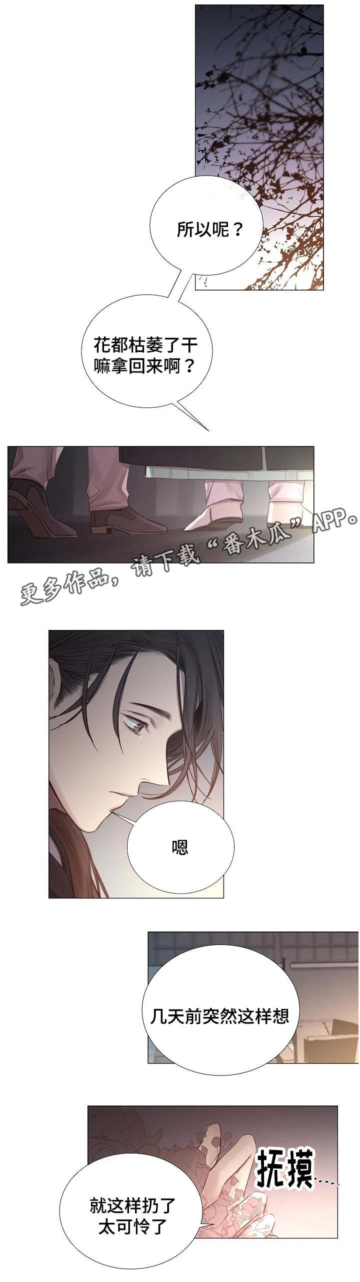 第50章：混乱