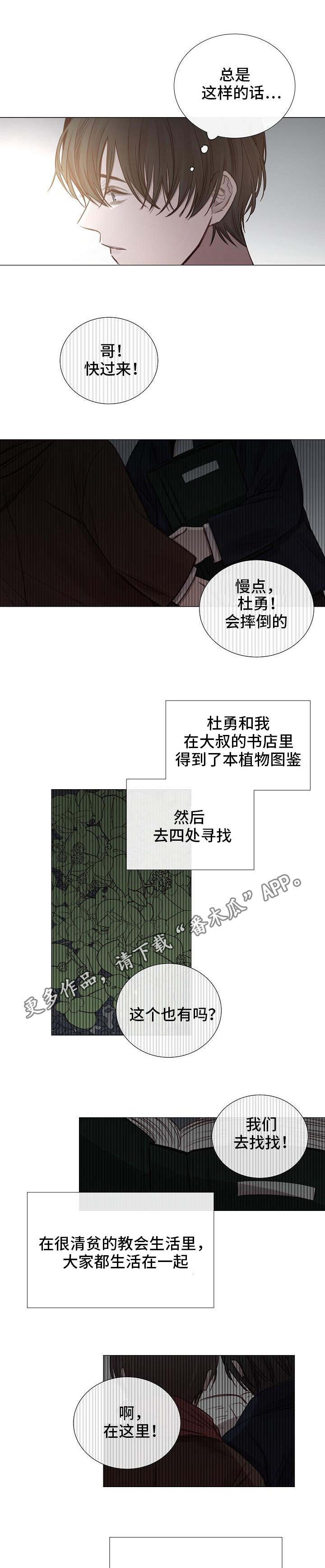 第52章：传闻