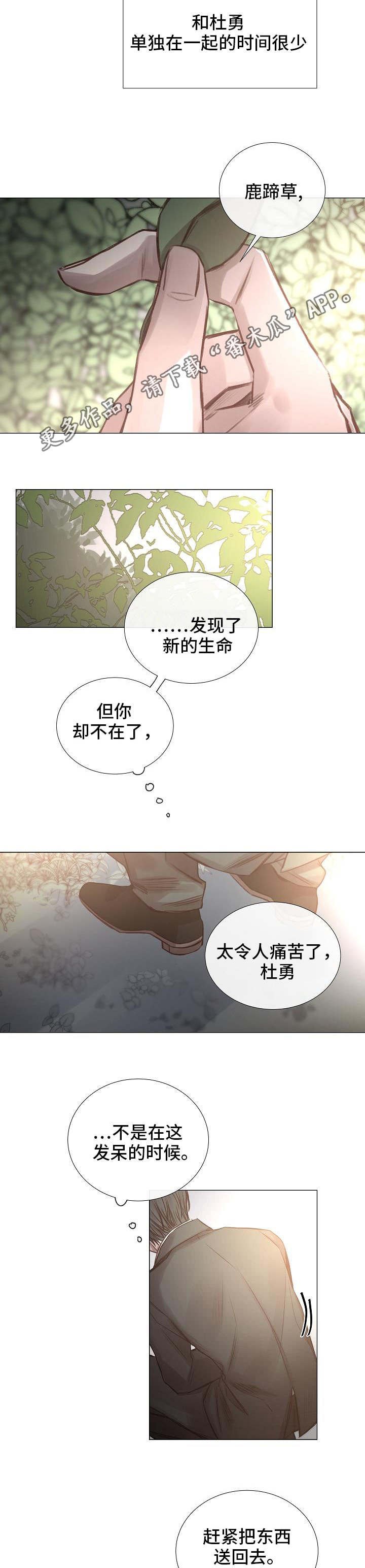 第52章：传闻