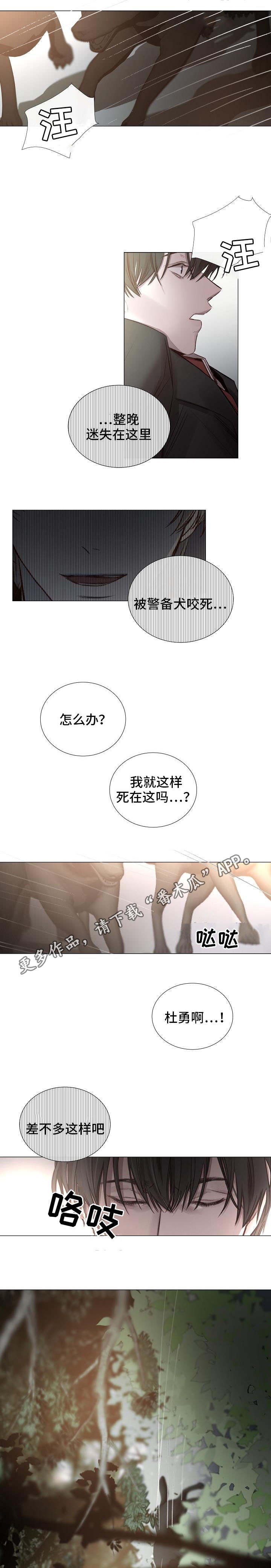 第53章：有惊无险
