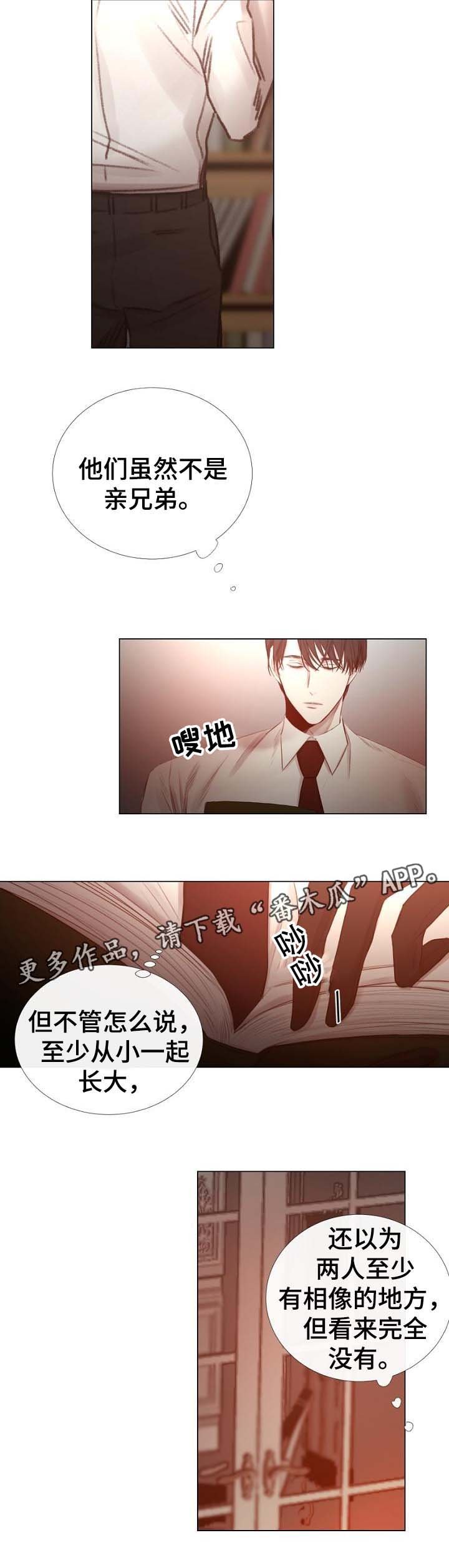 第55章：特别的礼物