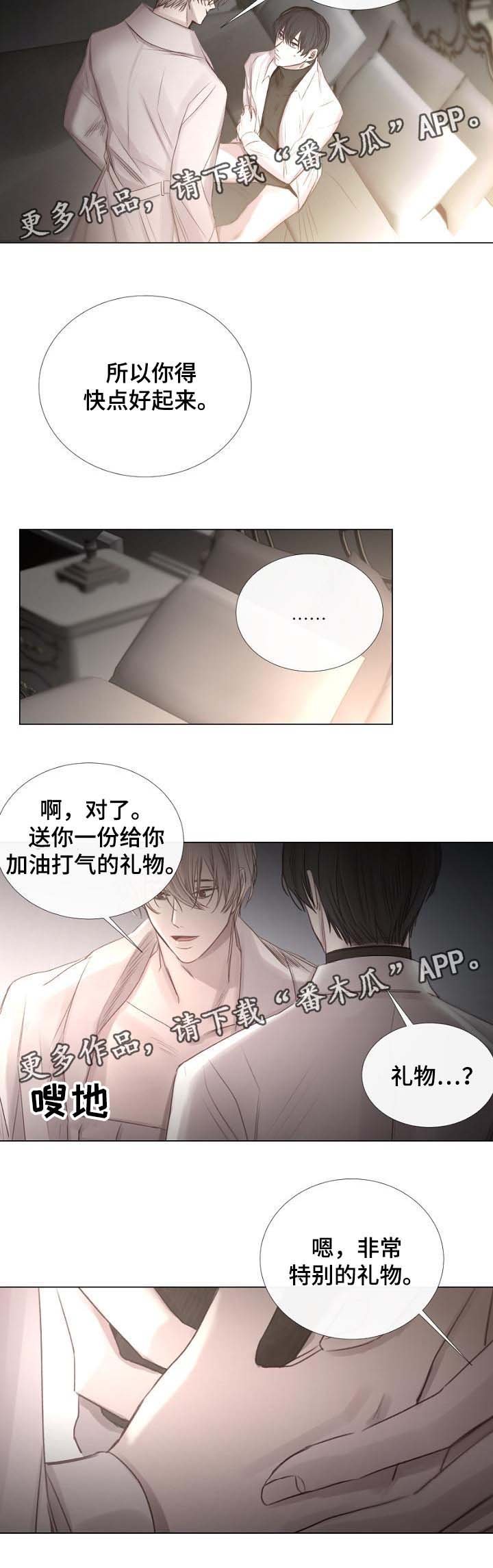 第55章：特别的礼物